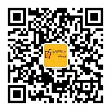 菜鸟IT世界和菜鸟一起学习电脑微信公众账号二维码