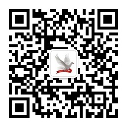 大使村微信公众账号二维码