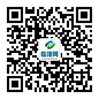 临漳网微信公众账号