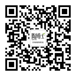 植物染发陶博士植物染发微信公众账号二维码