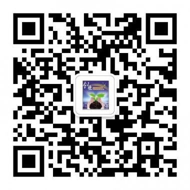 揭秘网络营销秘籍创业先