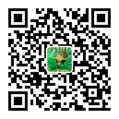 江门独家个人西域风情艺术照微信公众号二维码