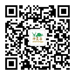 神农谷专业美白祛痘产品微信公众平台二维码