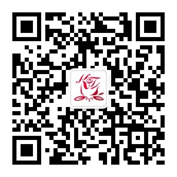 玫瑰缘最新婚恋会员信息微信平台二维码