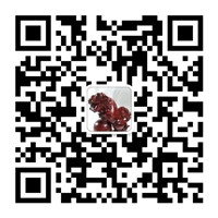 每天都分享一条经典语录、生活常识微信号二维码