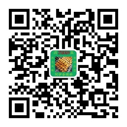 阿伊舍烤料傻瓜式的烧烤