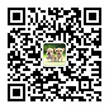 潮流大视野分享最新最全的潮流资讯微信账号二维码