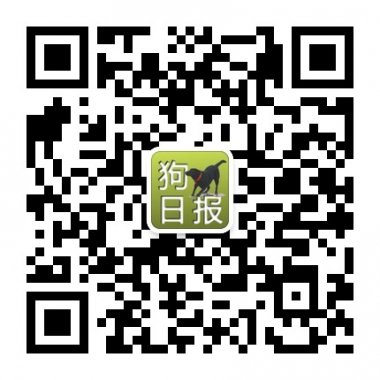 狗日报自媒体微信公众账