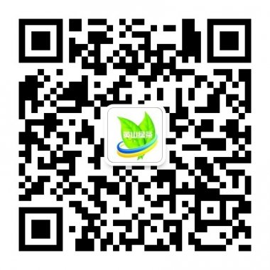 关注英山绿茶微信公众账号和绿茶一起探讨人生二维码