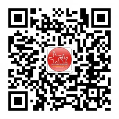 领袖中国教练技术学习分享平台微信账号二维码