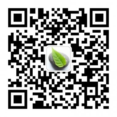 红尘禅心口袋中的禅师微