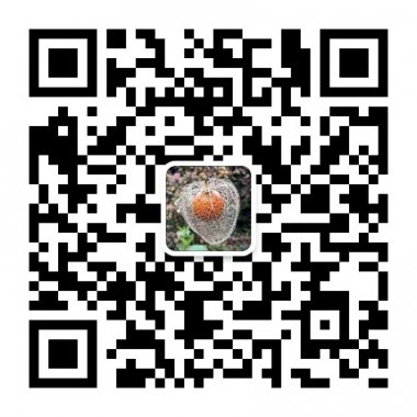 心灵雨露触动你并影响你的每一句话微信公众账号二维码