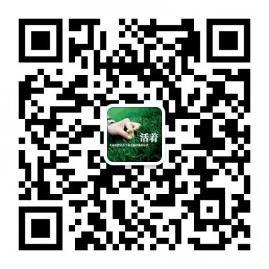 分享人生感悟扑捉你我心灵微信公众账号二维码