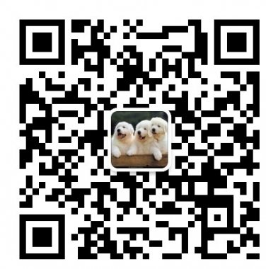 笑话e站每天带给您经典笑话微信公众账号二维码