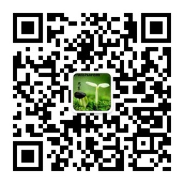 思享网创意共享分享智慧