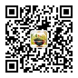微乐生活最具创意的微景观生态瓶微信公众账号二维码