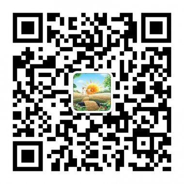 自然生活力传播积极乐观的生活态度微信号二维码