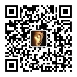 佛珠专业养护机构官方微