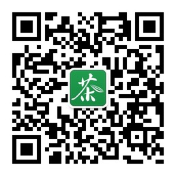 全球最全的茶叶知识和茶叶导购资讯微信号二维码
