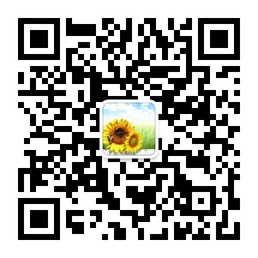 蓝线传媒快印微信号扬城客户的首选二维码