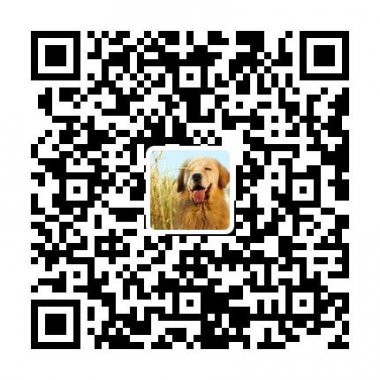 小动物都惊呆了易信公众账号二维码