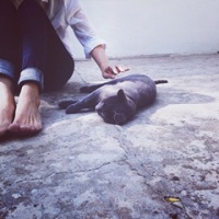 迷茫,非主流可爱女生头像Lee